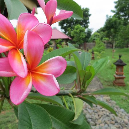 Tegal Sari, Pemuteran- North Bali Hotel ภายนอก รูปภาพ