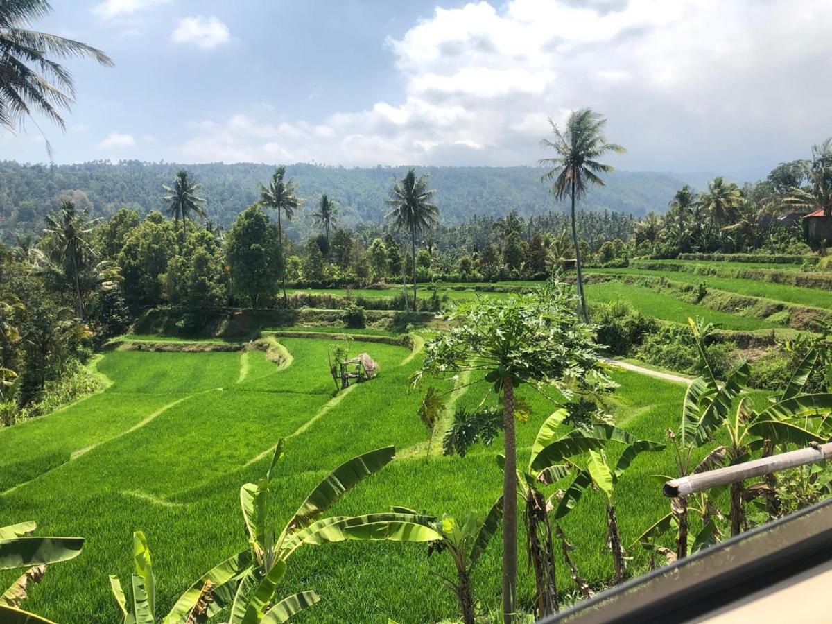 Tegal Sari, Pemuteran- North Bali Hotel ภายนอก รูปภาพ