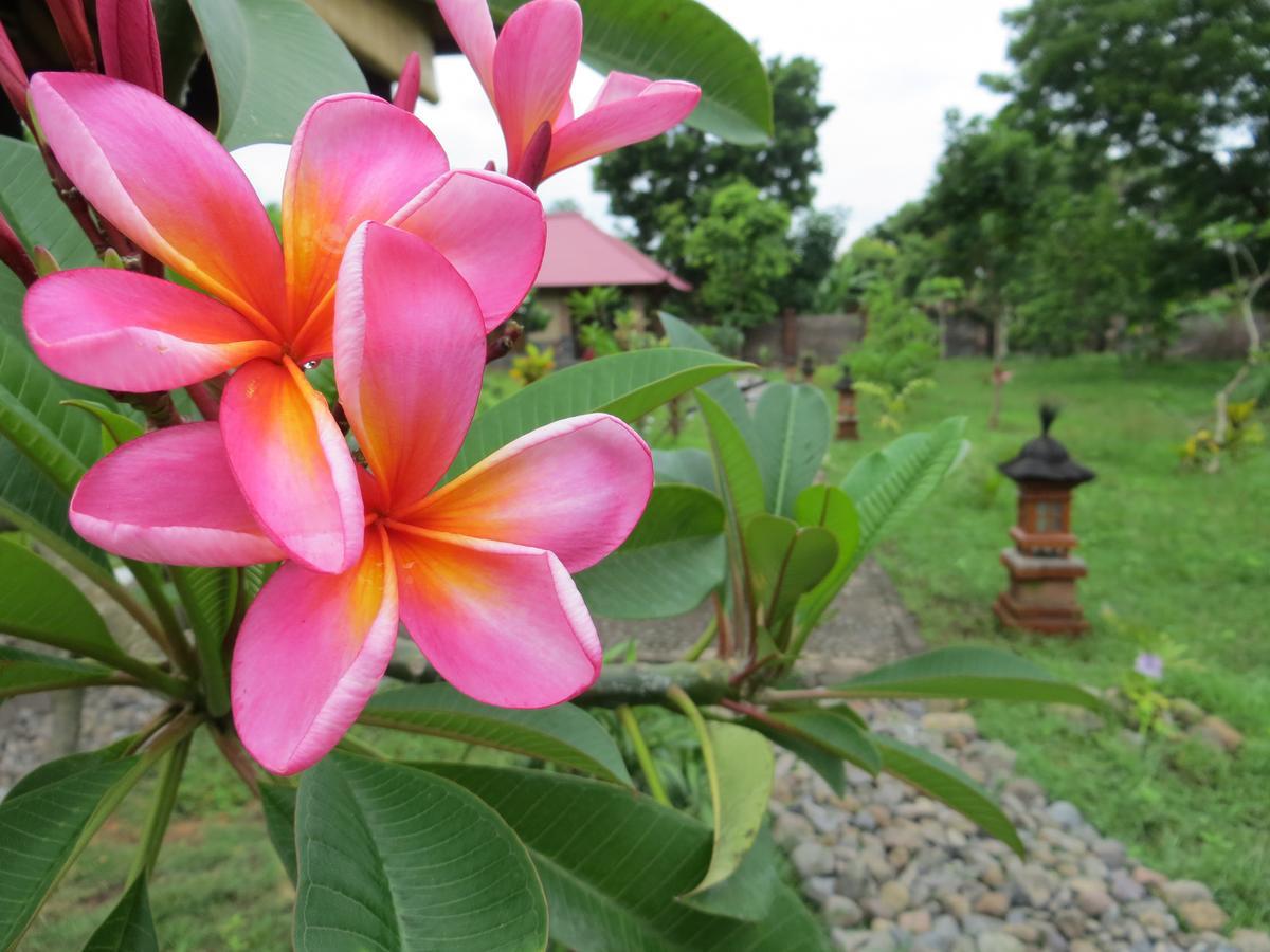 Tegal Sari, Pemuteran- North Bali Hotel ภายนอก รูปภาพ