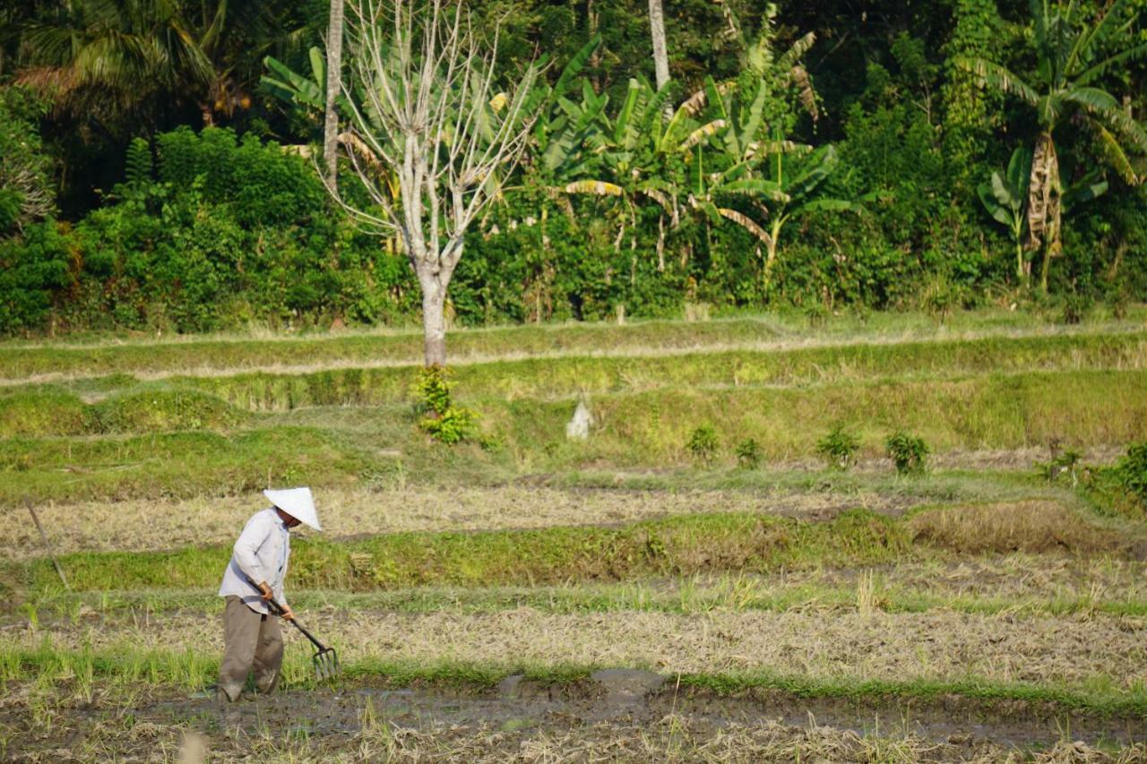 Tegal Sari, Pemuteran- North Bali Hotel ภายนอก รูปภาพ