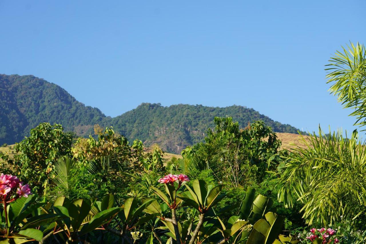 Tegal Sari, Pemuteran- North Bali Hotel ภายนอก รูปภาพ