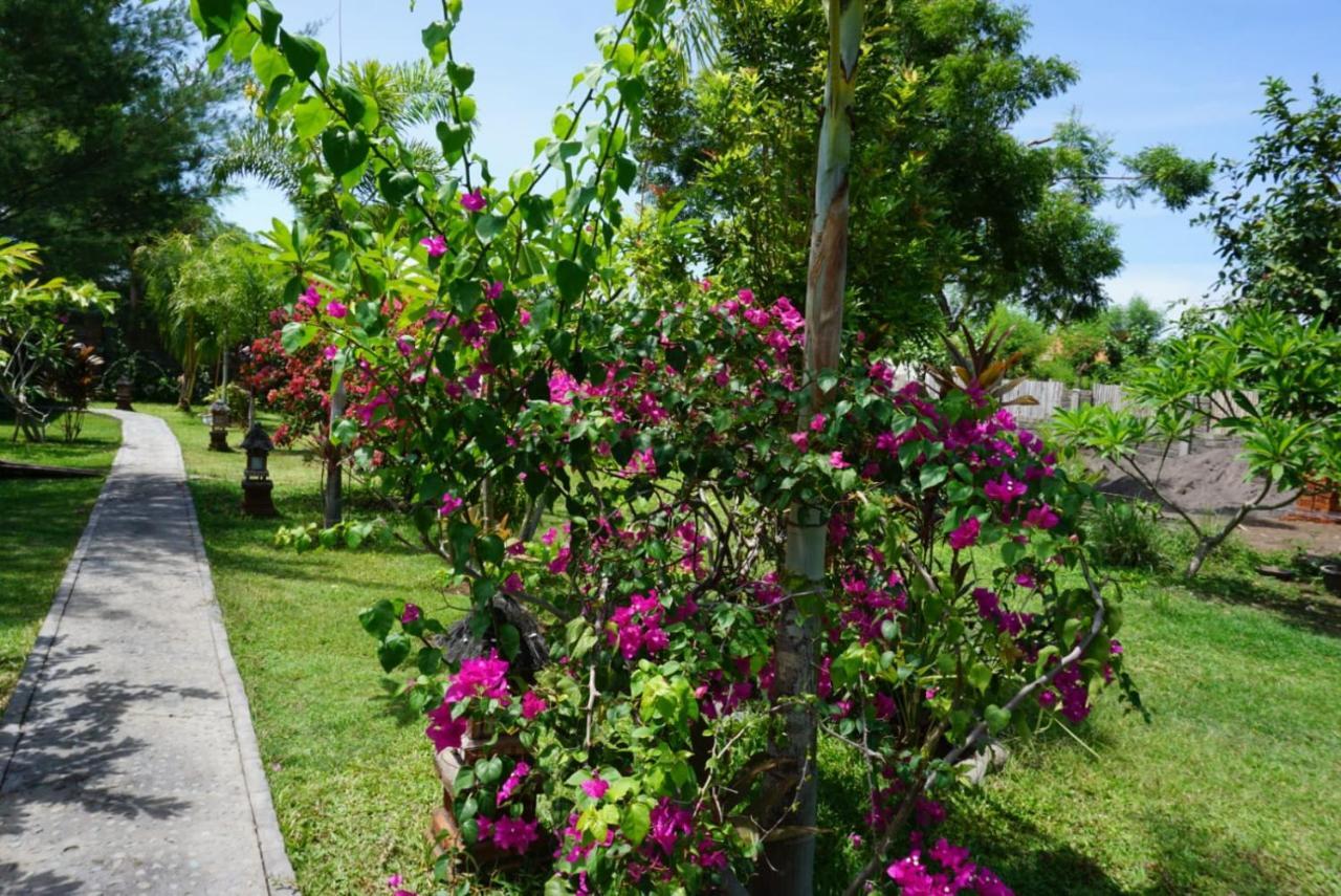 Tegal Sari, Pemuteran- North Bali Hotel ภายนอก รูปภาพ