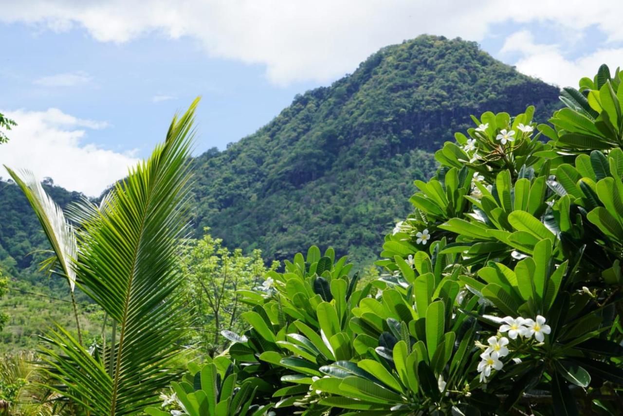 Tegal Sari, Pemuteran- North Bali Hotel ภายนอก รูปภาพ